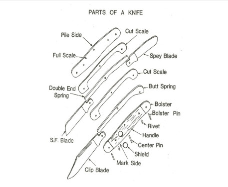 Parts of a Pocket Knife